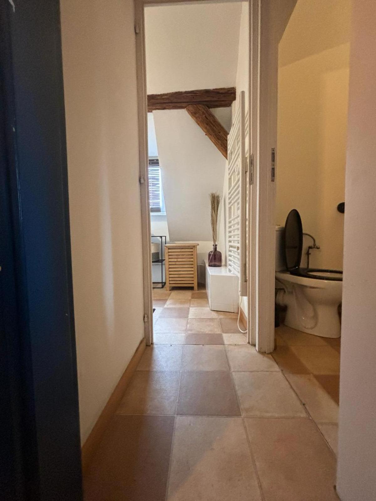 Charmant Appartement Proche Strasbourg A Eckwersheim Eksteriør billede