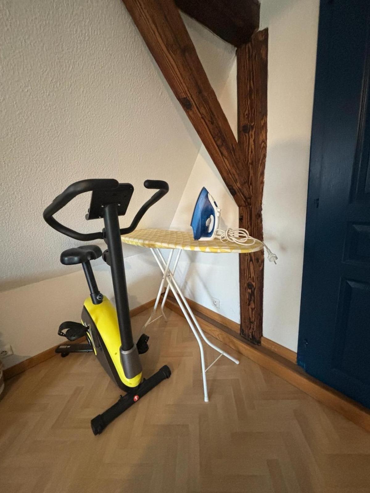 Charmant Appartement Proche Strasbourg A Eckwersheim Eksteriør billede