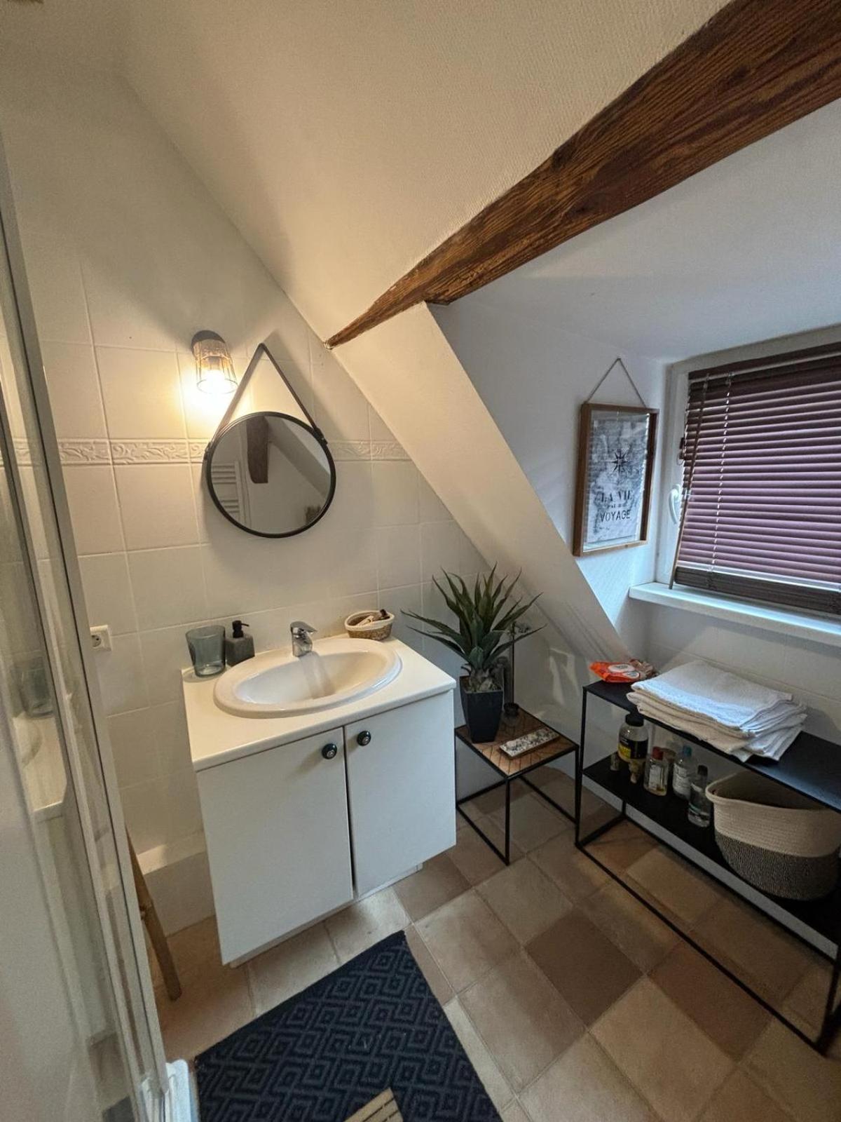 Charmant Appartement Proche Strasbourg A Eckwersheim Eksteriør billede